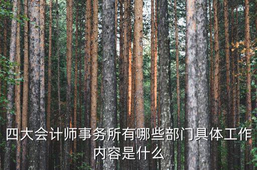 會(huì)計(jì)師事務(wù)所機(jī)構(gòu)代碼是什么,四大會(huì)計(jì)師事務(wù)所有哪些部門