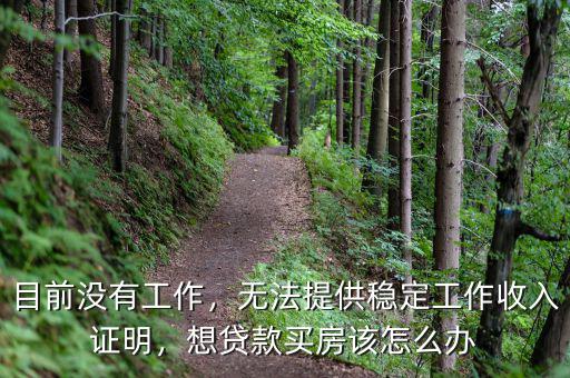 目前沒(méi)有工作，無(wú)法提供穩(wěn)定工作收入證明，想貸款買(mǎi)房該怎么辦