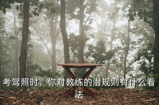 考駕照時(shí)，你對(duì)教練的潛規(guī)則有什么看法