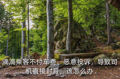 滴滴乘客不付車費(fèi)、惡意投訴，導(dǎo)致司機(jī)直接封號，該怎么辦