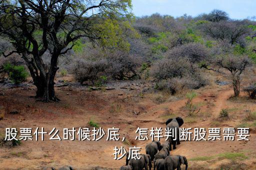股票什么時(shí)候抄底，怎樣判斷股票需要抄底