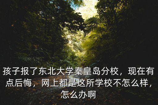 孩子報了東北大學秦皇島分校，現(xiàn)在有點后悔，網(wǎng)上都是這所學校不怎么樣，怎么辦啊