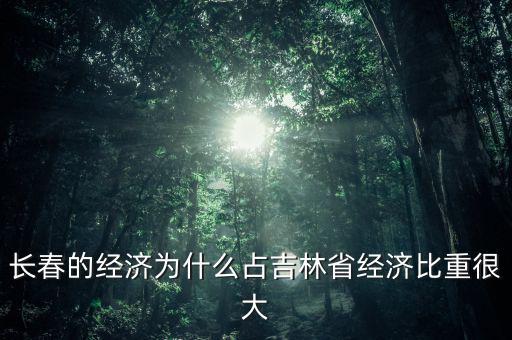 長春新區(qū)經濟占長春的多少,長春的新區(qū)是哪個區(qū)