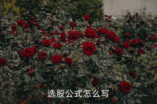選股公式怎么寫(xiě)