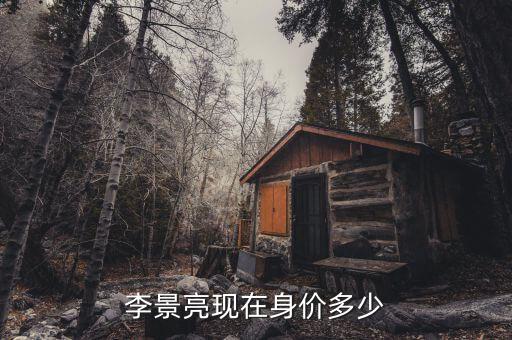 張雨柏身價多少,李景亮現在身價多少