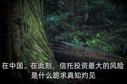 在中國(guó)，在此刻，信托投資最大的風(fēng)險(xiǎn)是什么跪求真知灼見