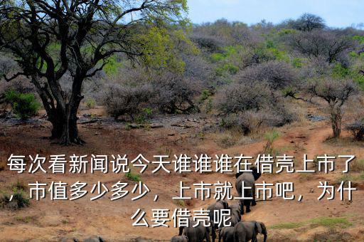 每次看新聞?wù)f今天誰(shuí)誰(shuí)誰(shuí)在借殼上市了，市值多少多少，上市就上市吧，為什么要借殼呢