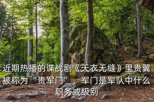 近期熱播的諜戰(zhàn)劇《天衣無(wú)縫》里貴翼被稱(chēng)為“貴軍門(mén)”，軍門(mén)是軍隊(duì)中什么職務(wù)或級(jí)別