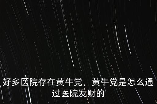 好多醫(yī)院存在黃牛黨，黃牛黨是怎么通過醫(yī)院發(fā)財?shù)? class=