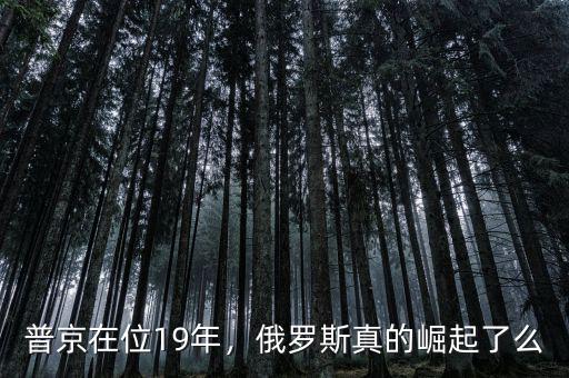 普京在位19年，俄羅斯真的崛起了么