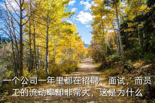 一個公司一年里都在招聘、面試，而員工的流動率卻非常大，這是為什么
