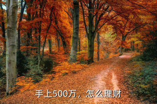 手上500萬(wàn)，怎么理財(cái)