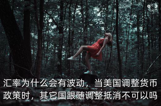 匯率為什么會有波動，當(dāng)美國調(diào)整貨幣政策時，其它國跟隨調(diào)整抵消不可以嗎