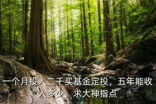 一個(gè)月投入二千買(mǎi)基金定投，五年能收入多少，求大神指點(diǎn)