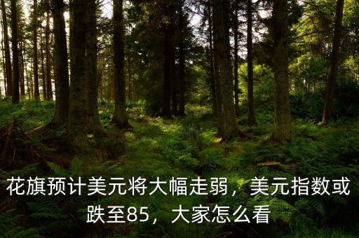 花旗預計美元將大幅走弱，美元指數(shù)或跌至85，大家怎么看