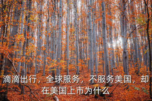 滴滴出行，全球服務，不服務美國，卻在美國上市為什么