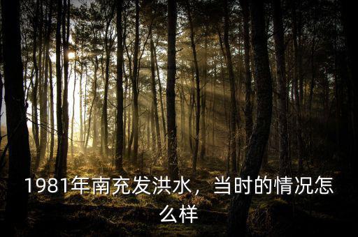 1981年南充發(fā)洪水，當時的情況怎么樣