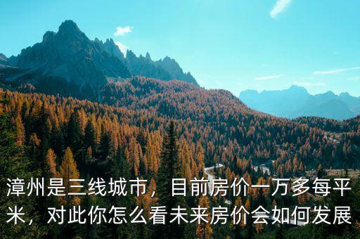 漳州是三線城市，目前房價一萬多每平米，對此你怎么看未來房價會如何發(fā)展