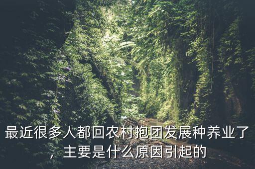 最近很多人都回農(nóng)村抱團(tuán)發(fā)展種養(yǎng)業(yè)了，主要是什么原因引起的