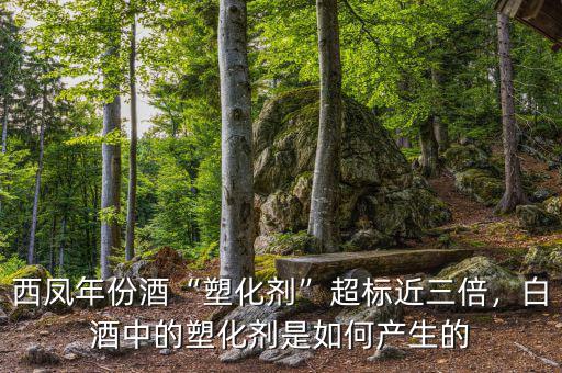 西鳳年份酒“塑化劑”超標(biāo)近三倍，白酒中的塑化劑是如何產(chǎn)生的