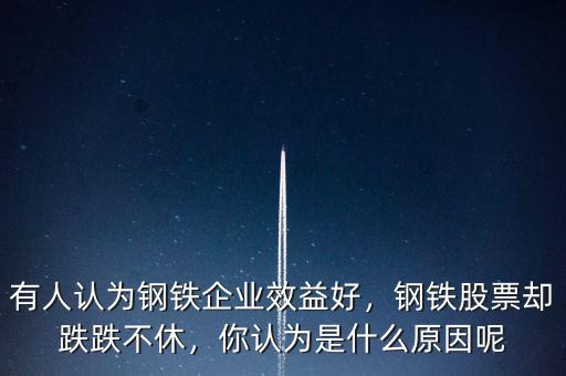 有人認(rèn)為鋼鐵企業(yè)效益好，鋼鐵股票卻跌跌不休，你認(rèn)為是什么原因呢