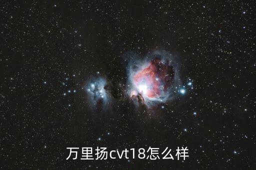 萬(wàn)里揚(yáng)cvt18怎么樣