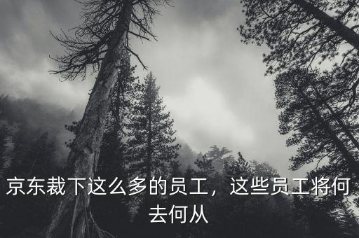 京東裁下這么多的員工，這些員工將何去何從