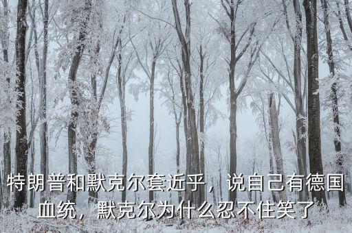 特朗普和默克爾套近乎，說自己有德國血統(tǒng)，默克爾為什么忍不住笑了