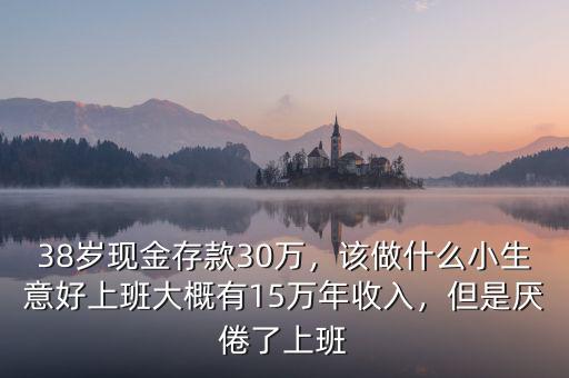 38歲現(xiàn)金存款30萬，該做什么小生意好上班大概有15萬年收入，但是厭倦了上班