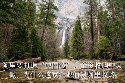 阿里要打造“中國芯”，全資收購中天微，為什么這家企業(yè)值得阿里收購