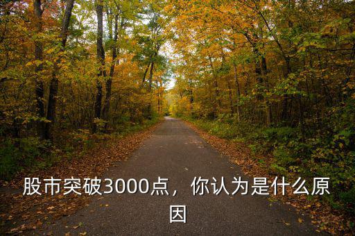 股市突破3000點(diǎn)，你認(rèn)為是什么原因