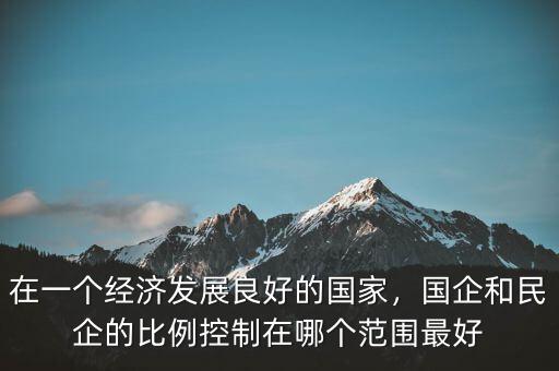 在一個經(jīng)濟發(fā)展良好的國家，國企和民企的比例控制在哪個范圍最好