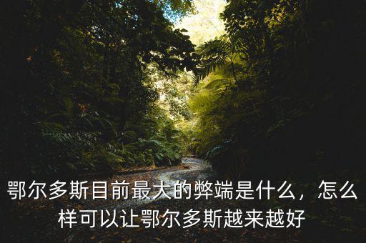 鄂爾多斯目前最大的弊端是什么，怎么樣可以讓鄂爾多斯越來越好