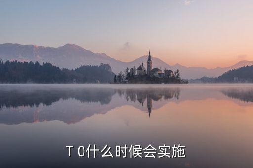 a股t0什么時候?qū)嵤?A股實施T 0