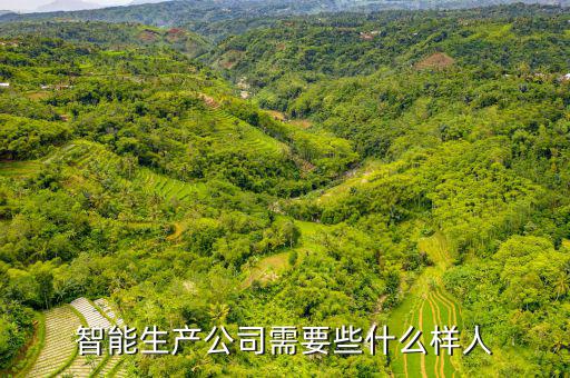 智能制造需要什么樣人才,智能制造時(shí)代