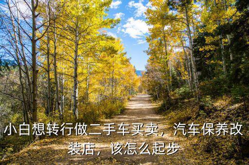 小白想轉(zhuǎn)行做二手車買賣，汽車保養(yǎng)改裝店，該怎么起步