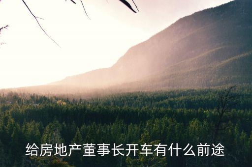 給房地產(chǎn)董事長(zhǎng)開(kāi)車(chē)有什么前途