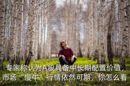 專(zhuān)家稱(chēng)認(rèn)為A股具備中長(zhǎng)期配置價(jià)值，市場(chǎng)“慢?！毙星橐廊豢善冢阍趺纯? class=