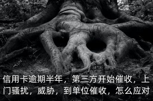 信用卡逾期半年，第三方開始催收，上門騷擾，威脅，到單位催收，怎么應對