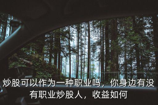 炒股可以作為一種職業(yè)嗎，你身邊有沒有職業(yè)炒股人，收益如何