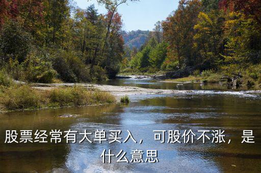 股票經(jīng)常有大單買入，可股價不漲，是什么意思