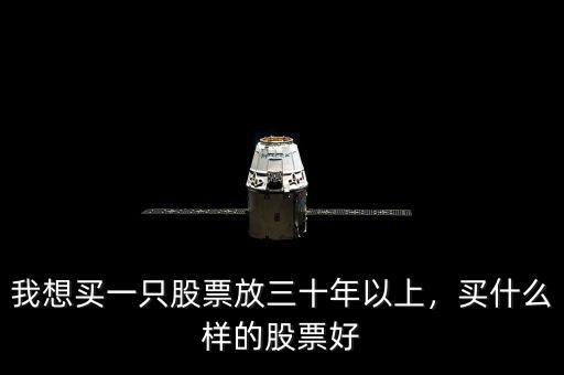 我想買一只股票放三十年以上，買什么樣的股票好