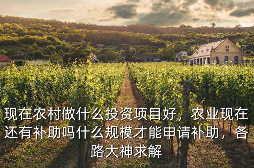 現(xiàn)在農(nóng)村做什么投資項(xiàng)目好，農(nóng)業(yè)現(xiàn)在還有補(bǔ)助嗎什么規(guī)模才能申請(qǐng)補(bǔ)助，各路大神求解