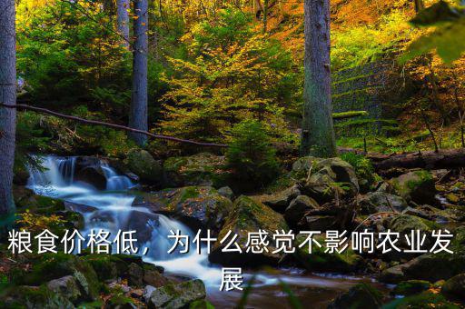 糧食價(jià)格低，為什么感覺不影響農(nóng)業(yè)發(fā)展