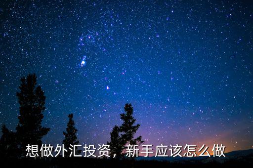 想做外匯投資，新手應(yīng)該怎么做