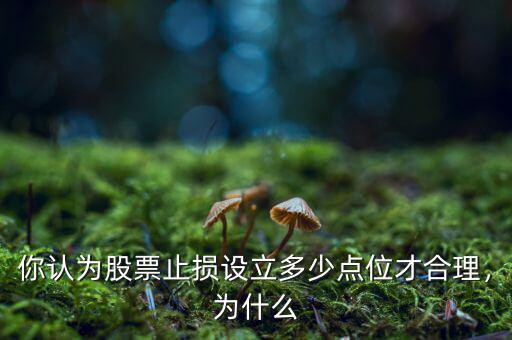 你認(rèn)為股票止損設(shè)立多少點(diǎn)位才合理，為什么