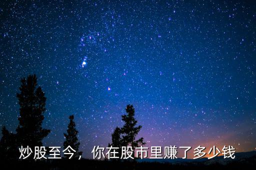 炒股至今，你在股市里賺了多少錢