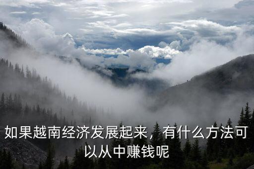 如果越南經(jīng)濟(jì)發(fā)展起來，有什么方法可以從中賺錢呢