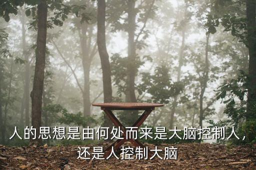人的思想是由何處而來是大腦控制人，還是人控制大腦