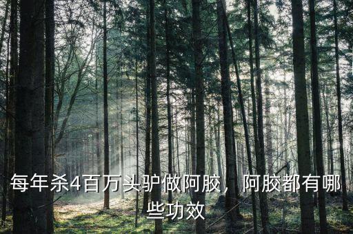 每年殺4百萬頭驢做阿膠，阿膠都有哪些功效